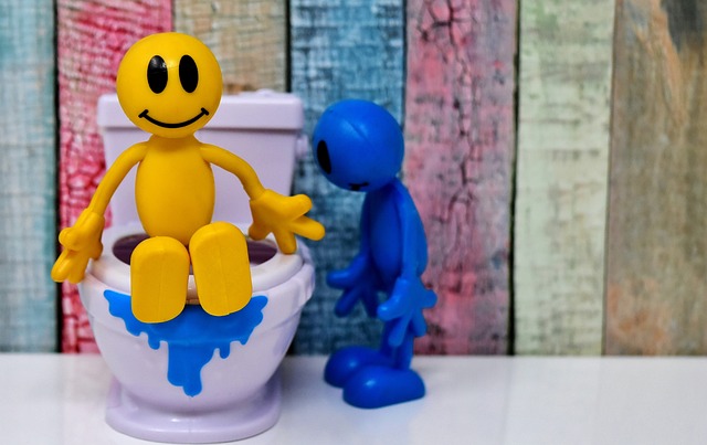 Zo ontstop je zelf eenvoudig je wc